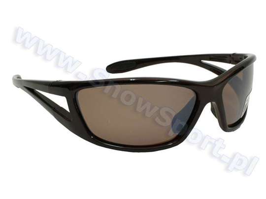 Okulary Blizzard PA8161 Clear Brown